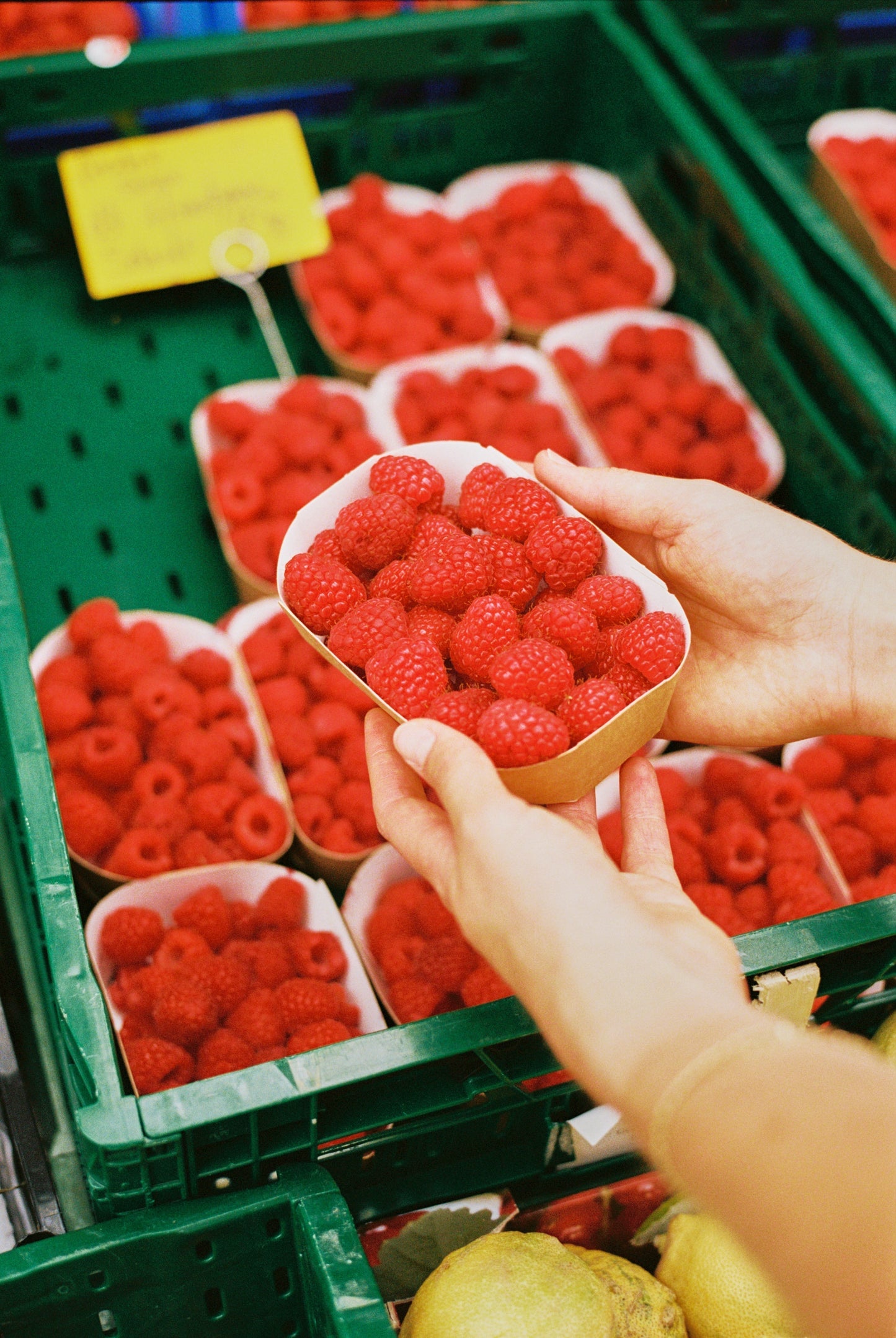 30 Pflanzenpunkte pro Woche - für deine Darmgesundheit